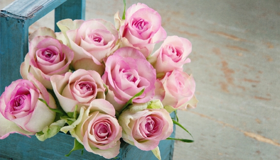 Birthday Roses & Birthday Plants Delivered