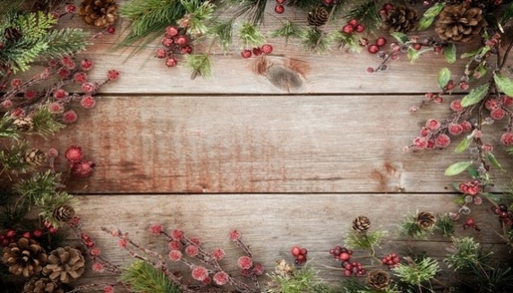 Christmas Plants