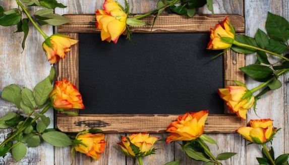 Personalised Plant Gifts For Christmas