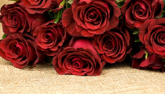 Christmas Named Rose Gifts