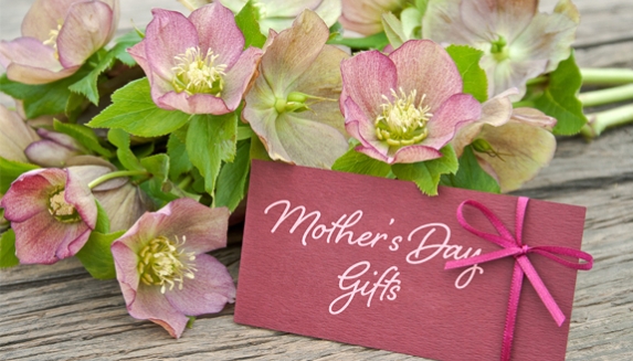 Mothers Day Plants Gifts Delivered
