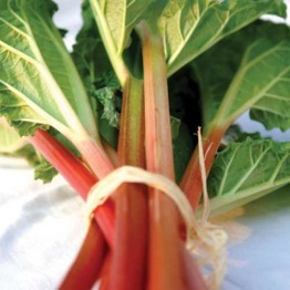 RHUBARB VICTORIA